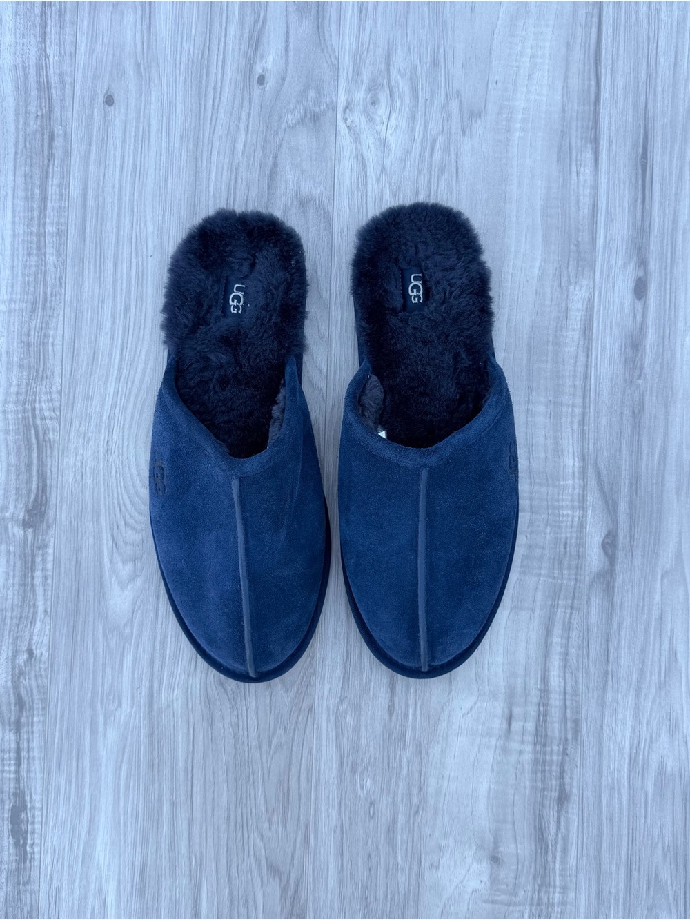 UGG Scuff Slipper (Men)
